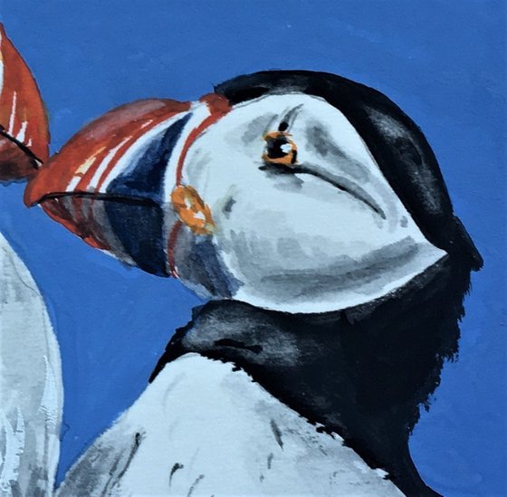 Kissing Puffins