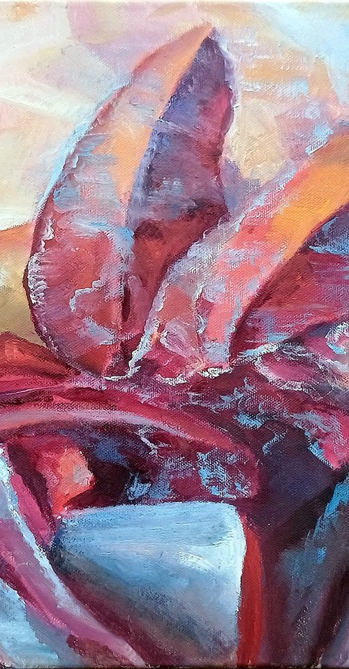 Rose in the Snowstorm by Dalia Barke