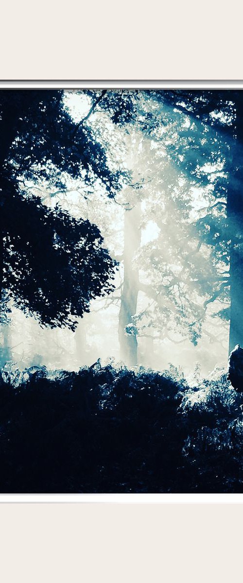 Dancing Light by Shabs  Beigh