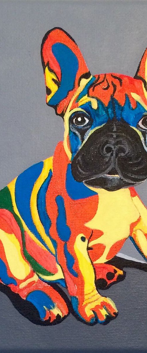 French Bulldog Puppy by Lucyanne Terni