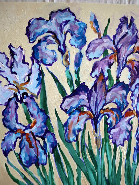 Irises on Cream