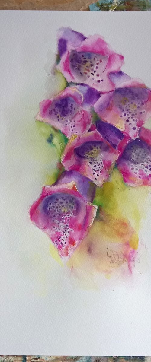 Foxgloves by Louise Diggle