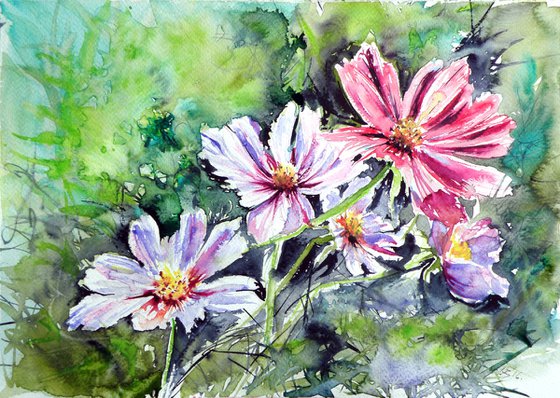 Windflowers