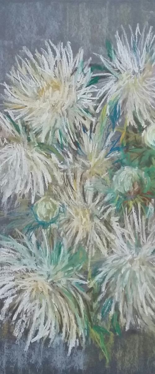 Aster night by Elena Klyan
