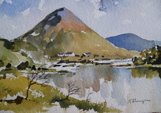 Cottages under Errigal