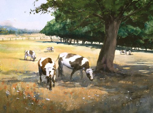 Cows In The Shadow Of A Tree by Tyl Destoop