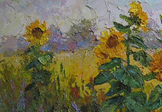 Sunflowers in the field