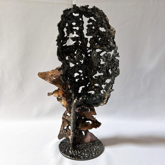 Face 45-25