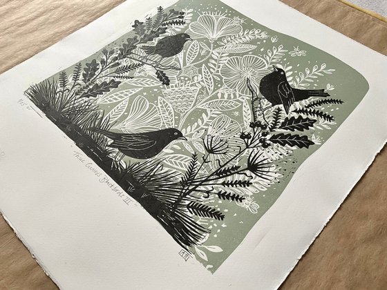 Three Curious Blackbirds III