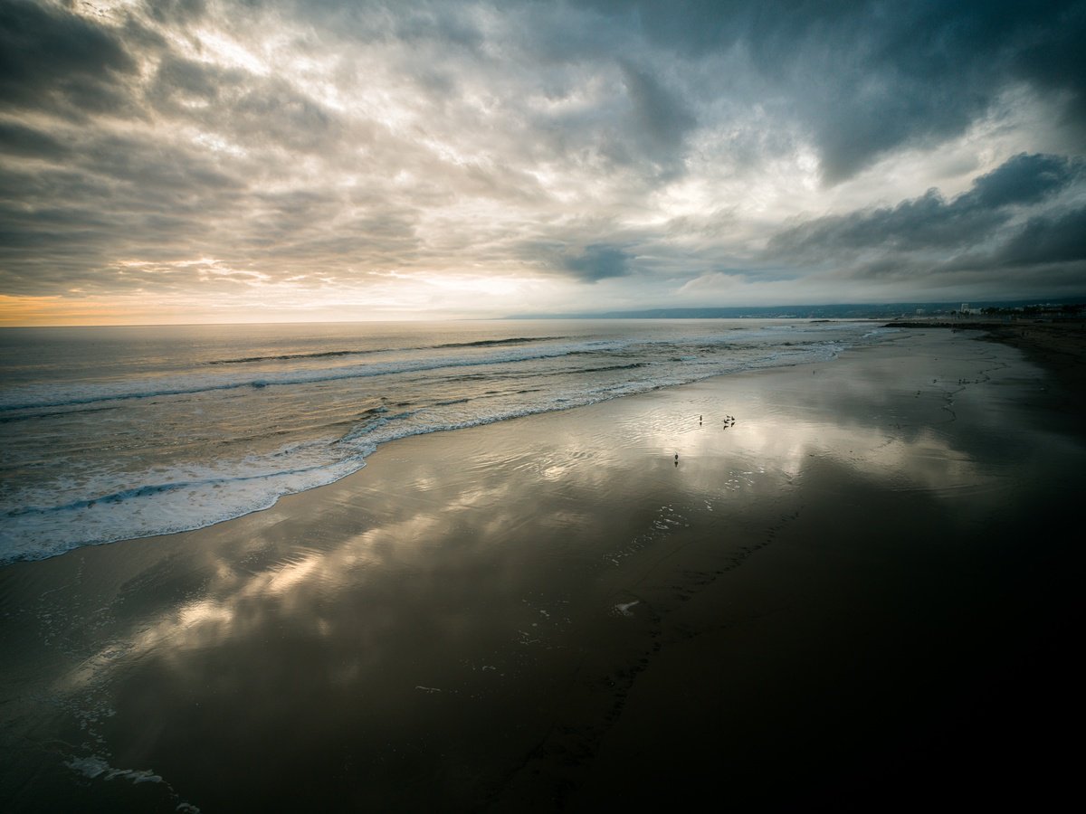 Photorealistic Landscape Photograph By Harv Greenberg, 40 X 30, Venice Beach Calls, Original Artwork