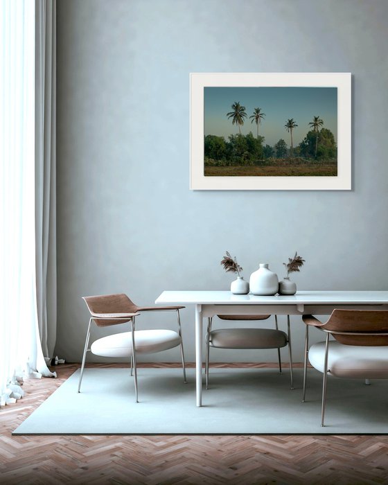 Four Palms