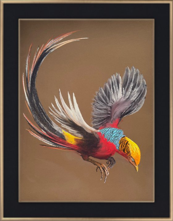 Set of 2 Golden phaesant