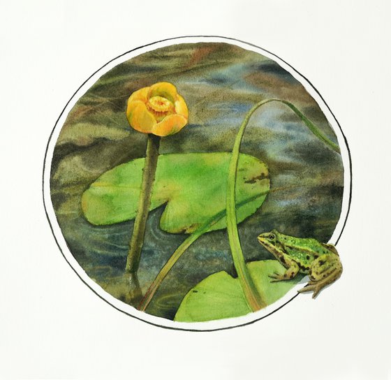 Yellow pond lily frog