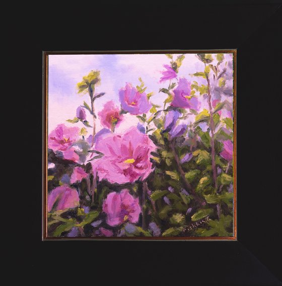 Purple Rose of Sharon Blossoms