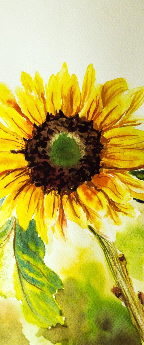 Sunflower by Aneta Gajos