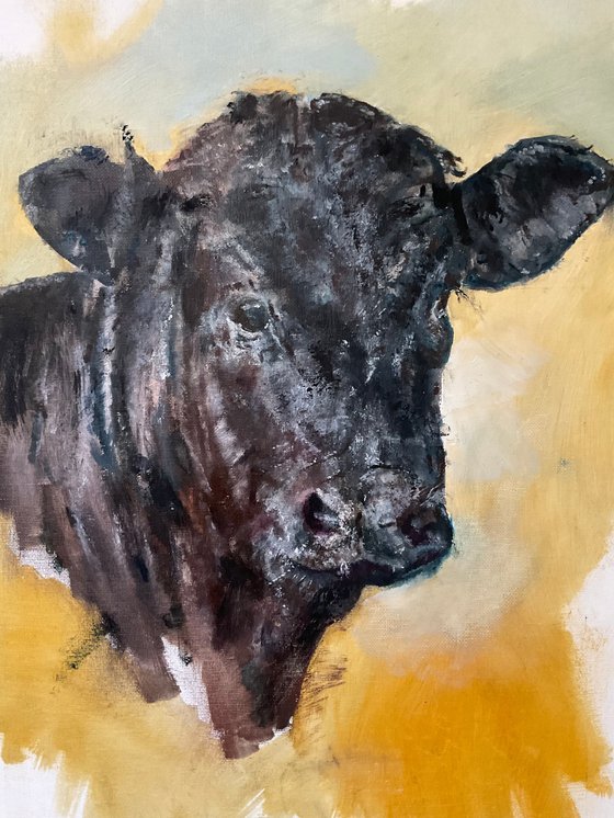 Calf