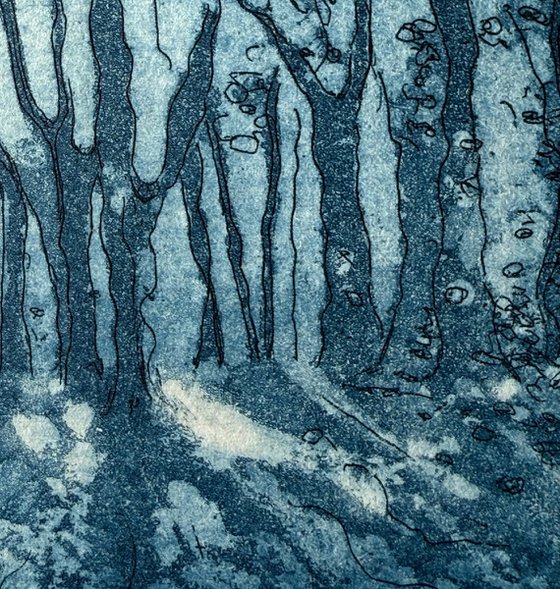 Highgate Wood