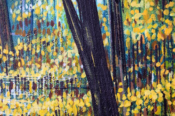 Sunlight Through Autumn Trees