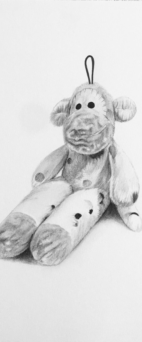Aishas Monkey by Amelia Taylor