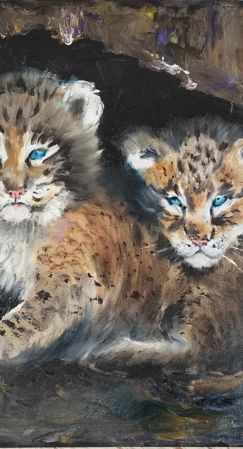 Lynx Cubs by Olga Tchefranov (Shefranov)