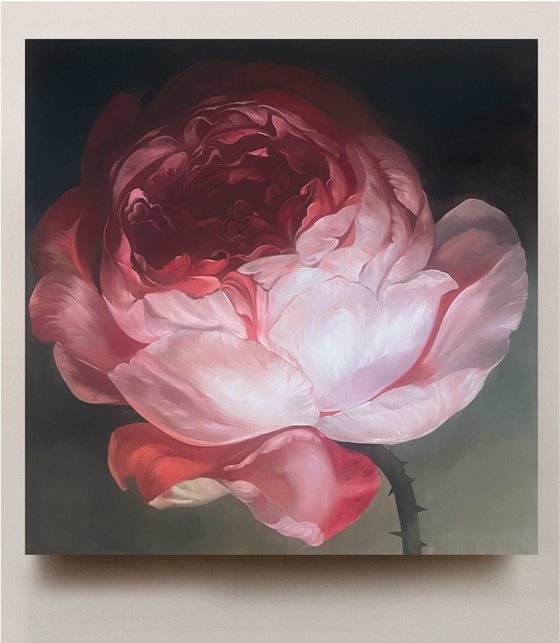 Old Holland flower 12