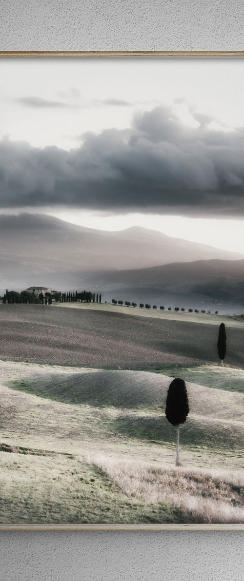 Two cypresses and a rural... by Karim Carella