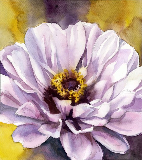 pink zinnia watercolor floral