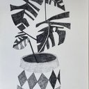 Jonas Wood