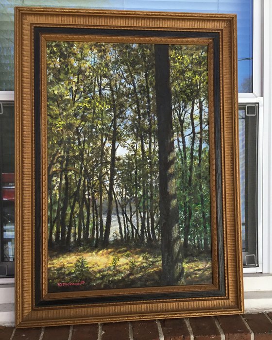 WOODS IN CHERRY PARK (SOLD)