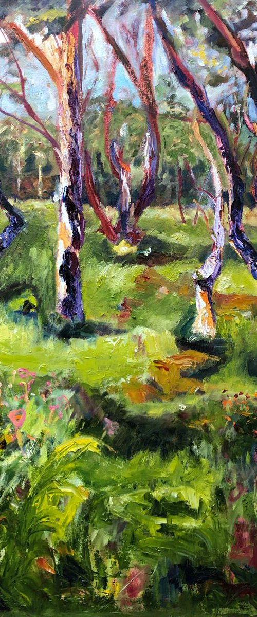 STRINGYBARK TREES by Maureen Finck