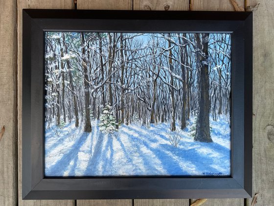 WINTER WOODS (SOLD)