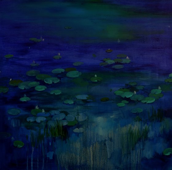 Lily pond. Lullaby