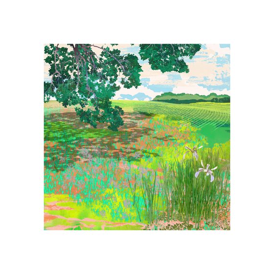 Momentary