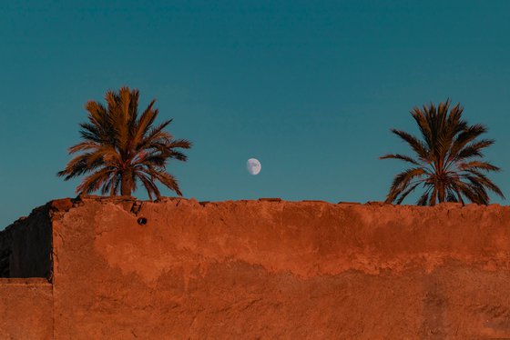 Lune et palmiers