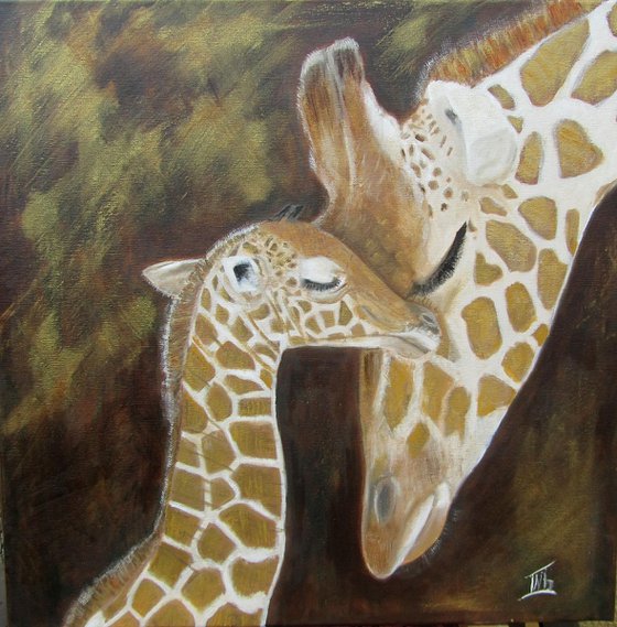 Lovely giraffes