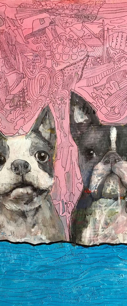 Two Boston terriers by Pavel Kuragin