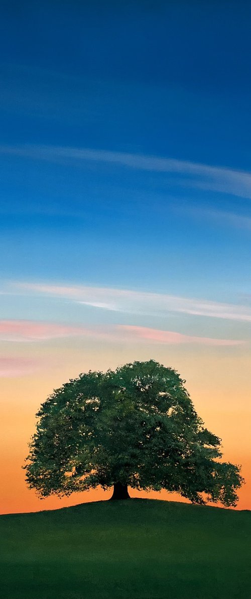 The Embrace of Exquisite Stillness by Victoria Obolensky