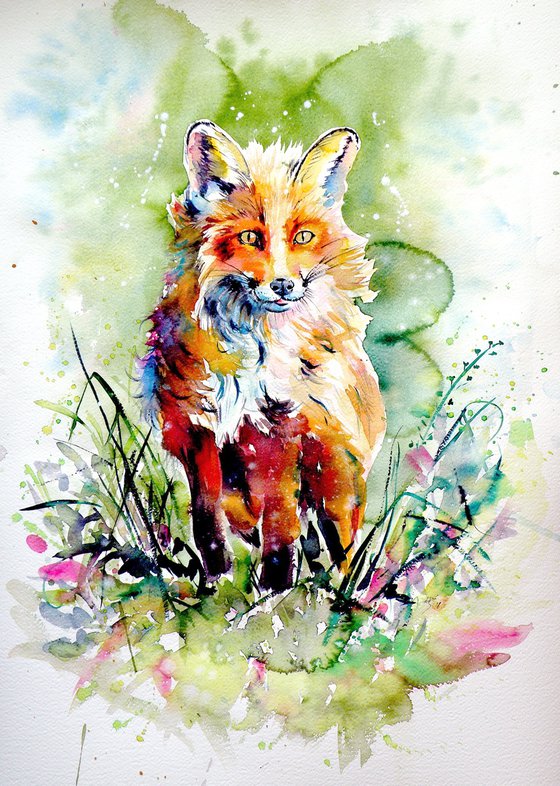 Red fox II