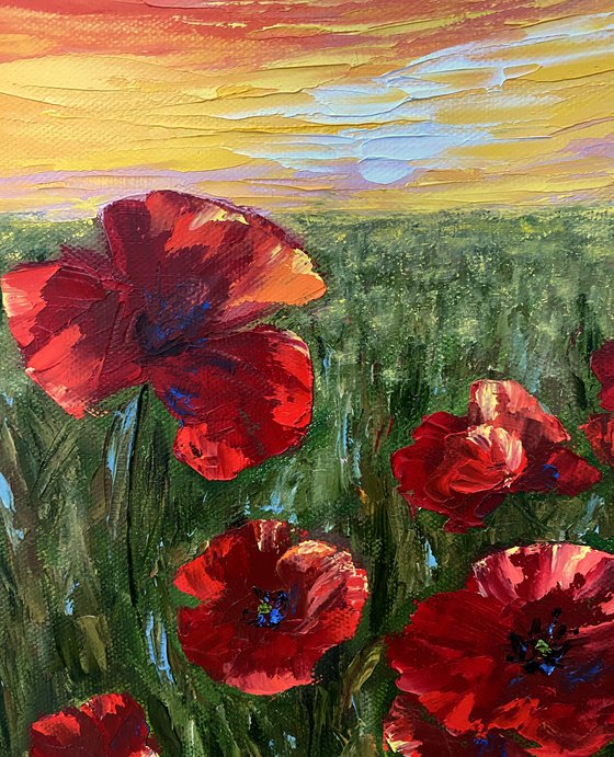 Warm poppies