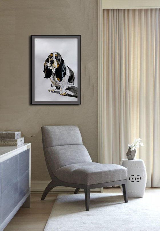 Basset hound