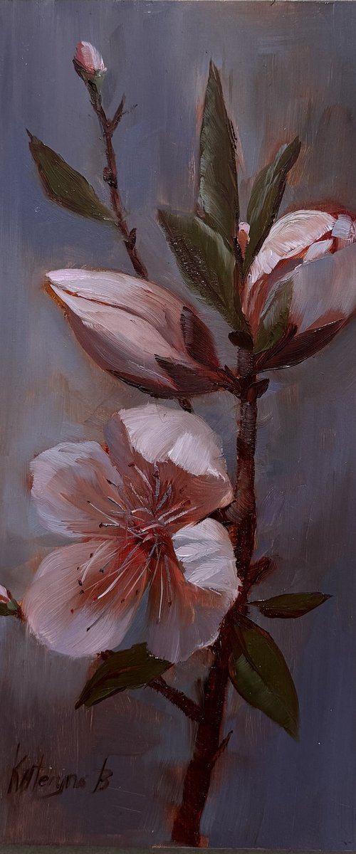 Peach blossom by Kateryna Boykov