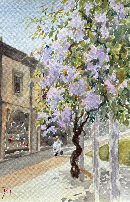 Wisteria in a small lane by Shelly Du