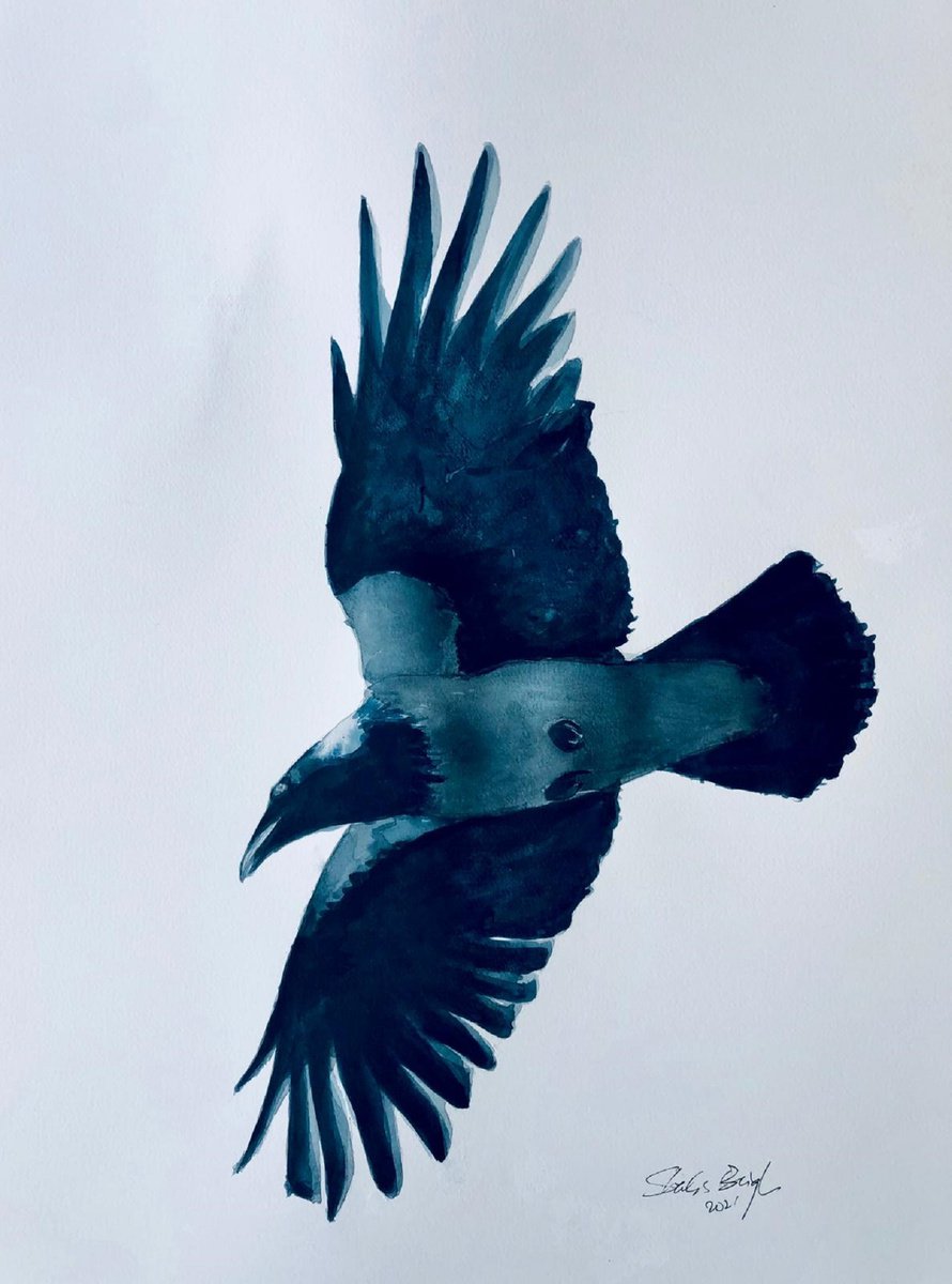 Expressive Animal Ink Drawing By Shabs Beigh, 23 X 33", Flight 6, Original Artwork