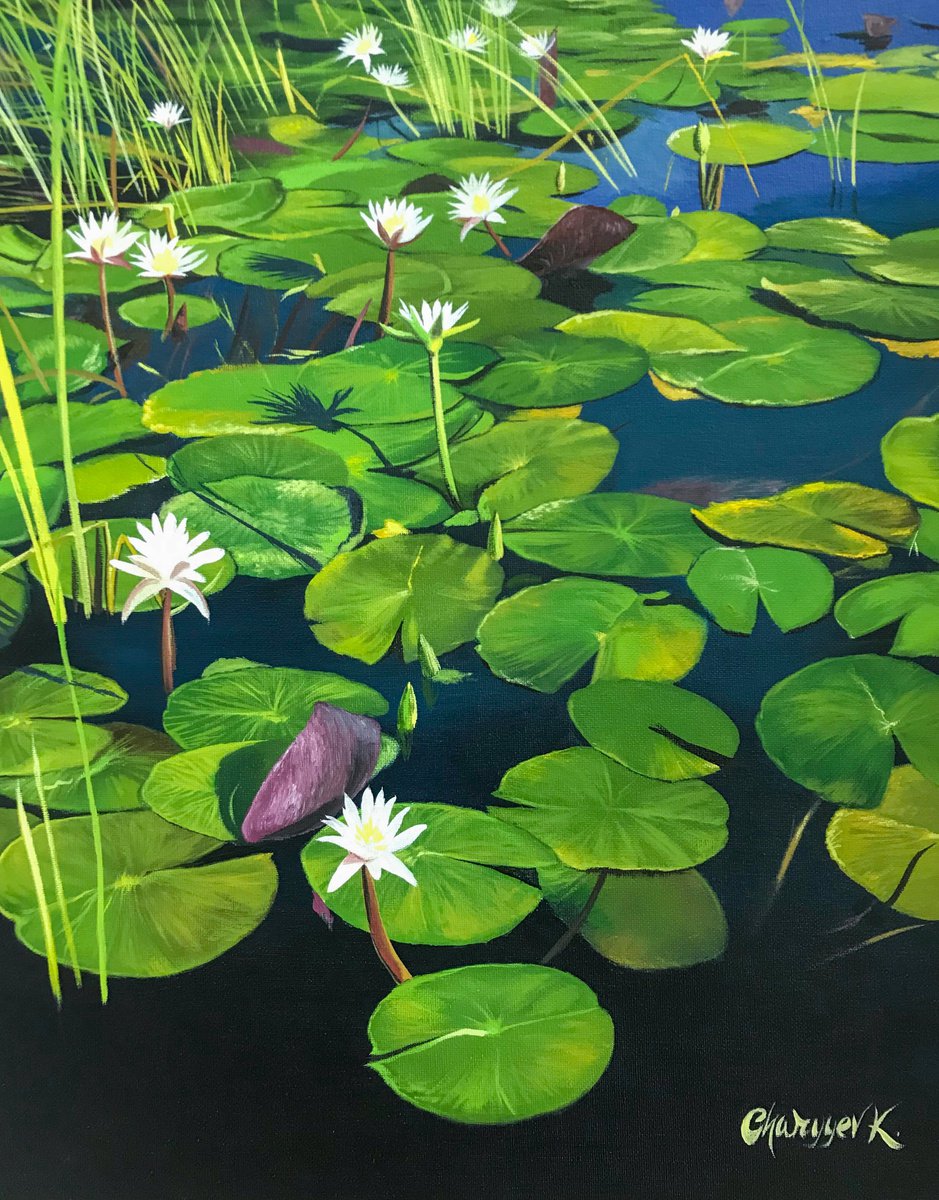 Water lilies by Kakajan Charyyev