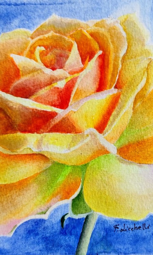 Yellow rose by Francesca Licchelli