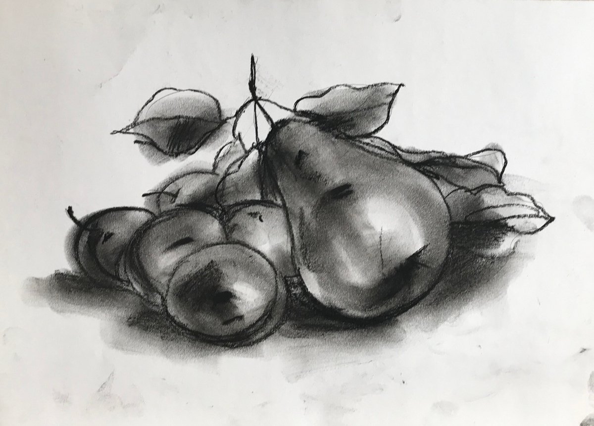 Still Life Charcoal Drawing By Anastasia Terskih, 12 X 8, Pirorum, Original Artwork