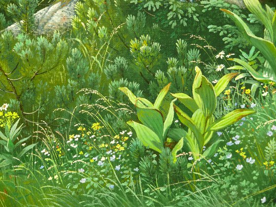Spring mountain landscape