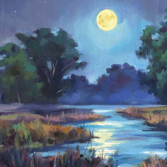 Night landscape in the swamp