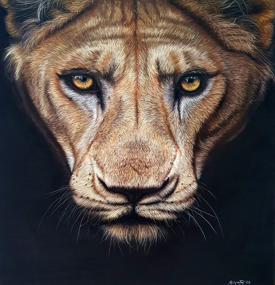 ’Huntress’ lioness pastel painting by Silvia Frei