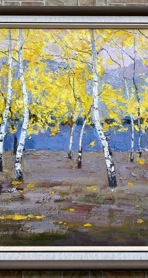 White birch forest by Kunlong Wang